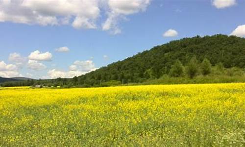 阿荣旗天气预报一周天气_内蒙古自治区阿荣旗天气